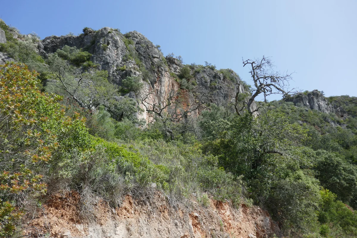 The pale limestone cliff of Rocha da Pena above trees and scrub near Salir.
