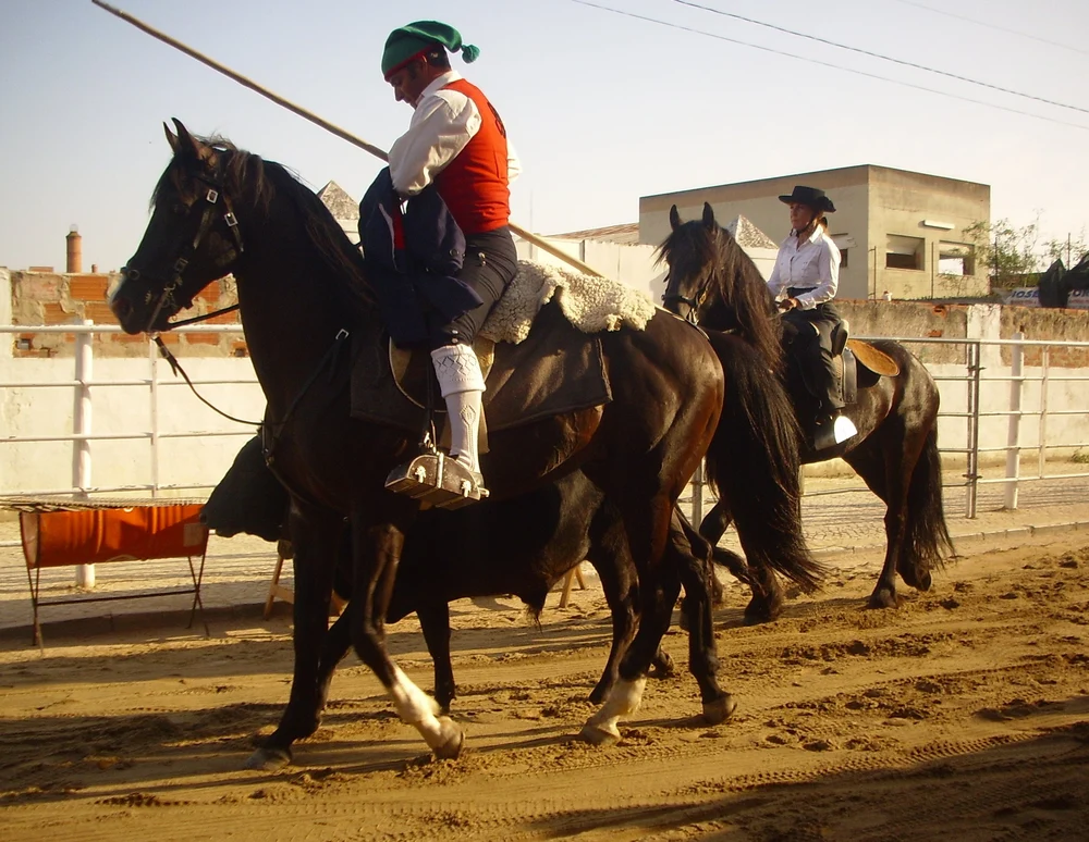A mounted campino wears a green cap, red waistcoat and white stockings.