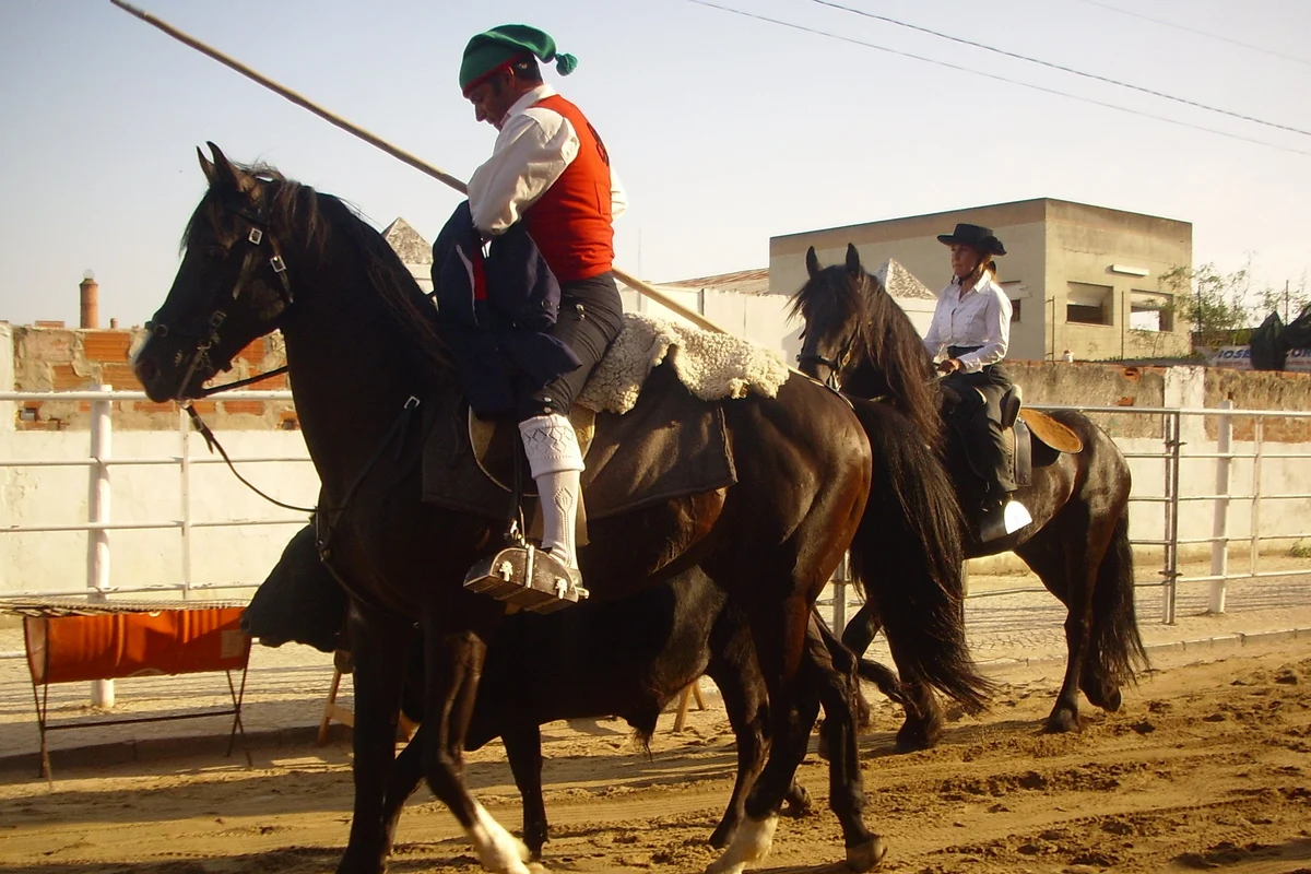 A rider in a green cap and red waistcoat carries a long cattle pole at a festival in Montijo.