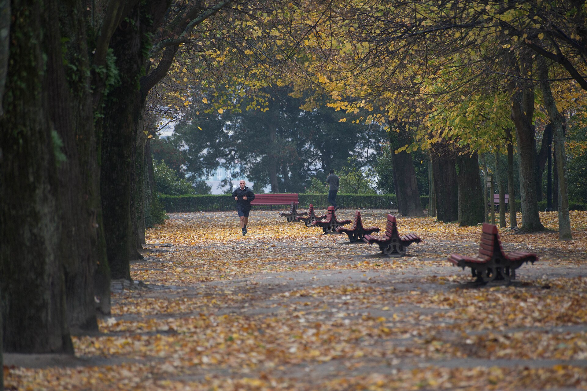 People walking beneath trees in the Jardins do Palácio de Cristal in Porto